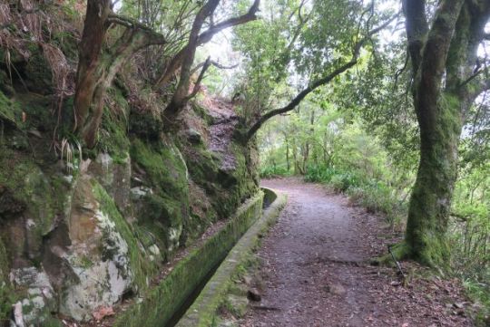 Ribeiro Frio - Vereda dos Balcones