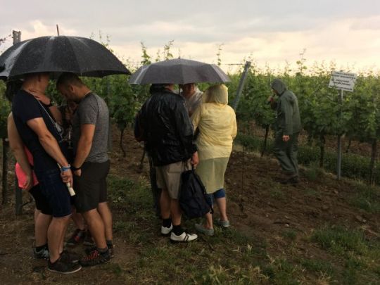 XVIII. Putování po vinicích Znojemska 2018