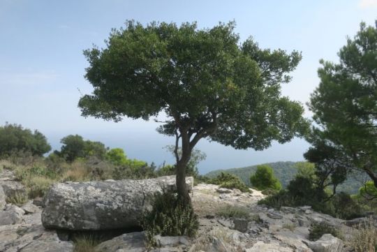 Skopelos 2018, Sedoukia aneb pirátské hroby